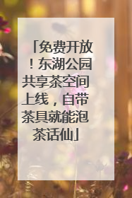 免费开放！东湖公园共享茶空间上线，自带茶具就能泡茶话仙