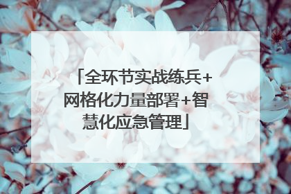 全环节实战练兵+网格化力量部署+智慧化应急管理