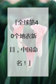 全球第40个地衣新目，中国命名！