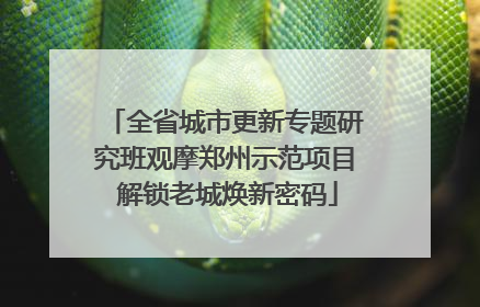 全省城市更新专题研究班观摩郑州示范项目 解锁老城焕新密码