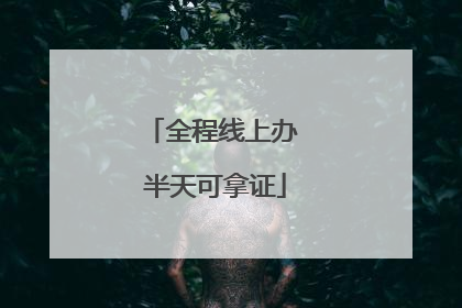 全程线上办 半天可拿证