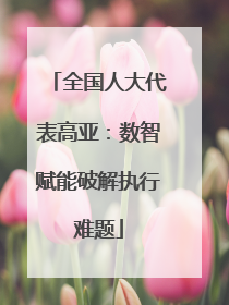 全国人大代表高亚：数智赋能破解执行难题
