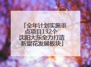 全年计划实施重点项目132个 沈阳大东全力打造新望花发展板块