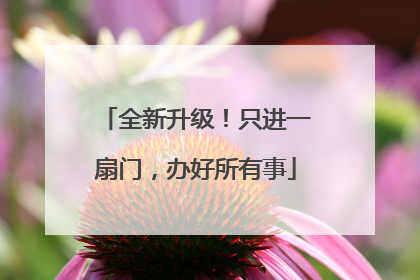 全新升级！只进一扇门，办好所有事