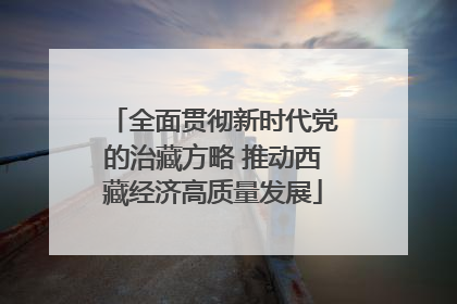 全面贯彻新时代党的治藏方略 推动西藏经济高质量发展