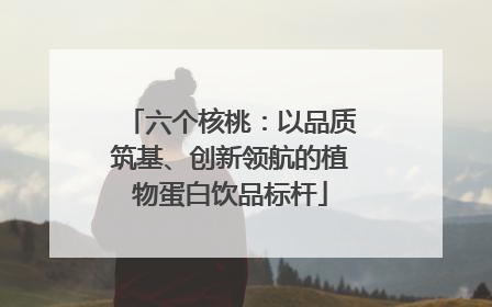 六个核桃：以品质筑基、创新领航的植物蛋白饮品标杆
