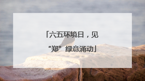 六五环境日，见“郑”绿意涌动