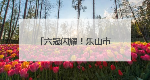 六冠闪耀！乐山市中区棉竹幼儿园捧回两个省级一等奖