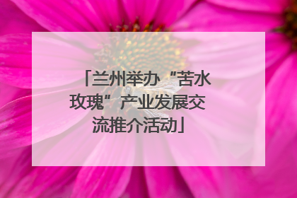 兰州举办“苦水玫瑰”产业发展交流推介活动