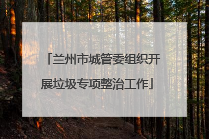 兰州市城管委组织开展垃圾专项整治工作