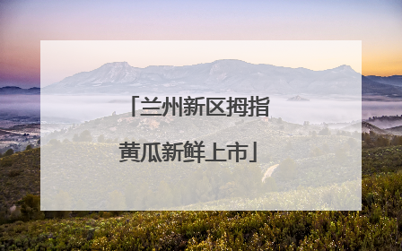 兰州新区拇指黄瓜新鲜上市