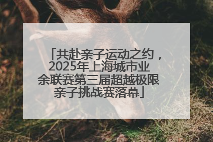 共赴亲子运动之约，2025年上海城市业余联赛第三届超越极限亲子挑战赛落幕