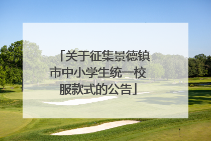 关于征集景德镇市中小学生统一校服款式的公告