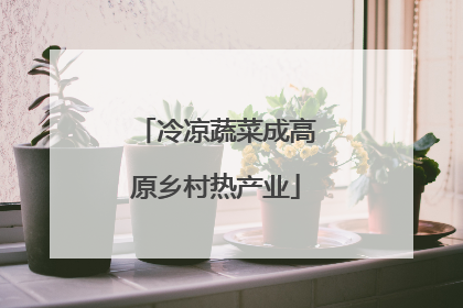 冷凉蔬菜成高原乡村热产业