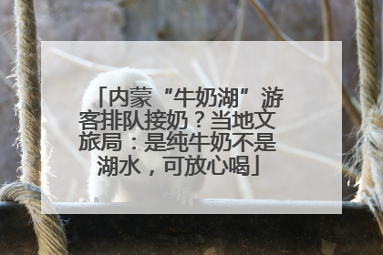 内蒙“牛奶湖”游客排队接奶？当地文旅局：是纯牛奶不是湖水，可放心喝
