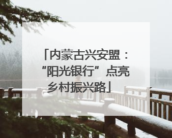 内蒙古兴安盟：“阳光银行”点亮乡村振兴路
