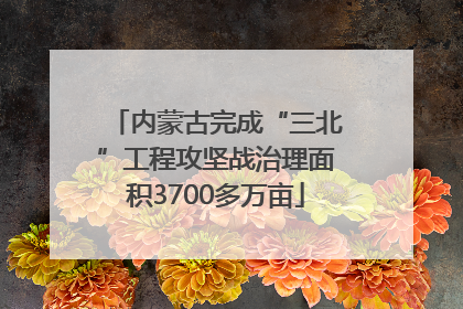内蒙古完成“三北”工程攻坚战治理面积3700多万亩