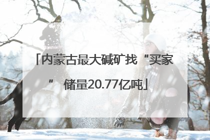 内蒙古最大碱矿找“买家” 储量20.77亿吨