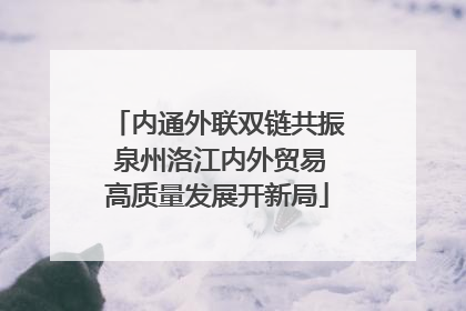 内通外联双链共振 泉州洛江内外贸易高质量发展开新局