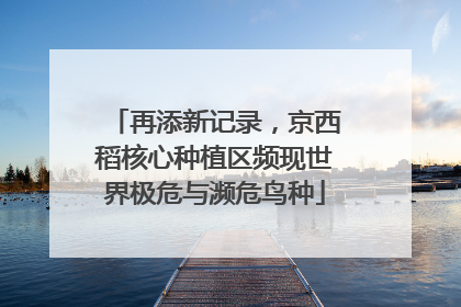 再添新记录，京西稻核心种植区频现世界极危与濒危鸟种