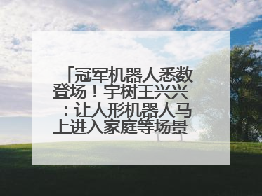 冠军机器人悉数登场！宇树王兴兴：让人形机器人马上进入家庭等场景并不现实
