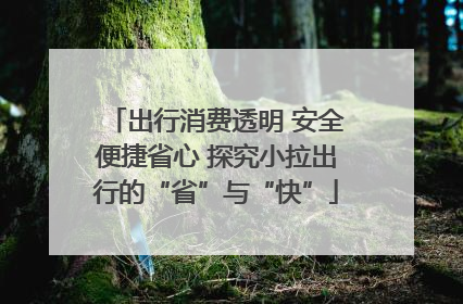出行消费透明 安全便捷省心 探究小拉出行的“省”与“快”