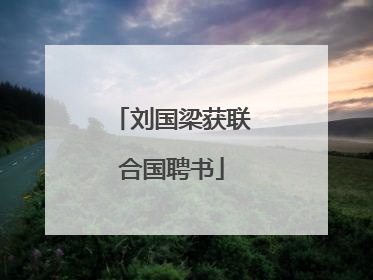 刘国梁获联合国聘书