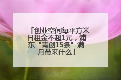 创业空间每平方米日租金不超1元，浦东“青创15条”满月带来什么