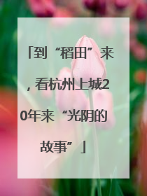 到“稻田”来，看杭州上城20年来“光阴的故事”