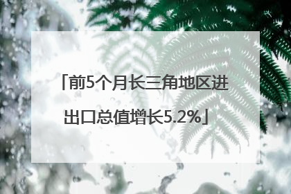 前5个月长三角地区进出口总值增长5.2%