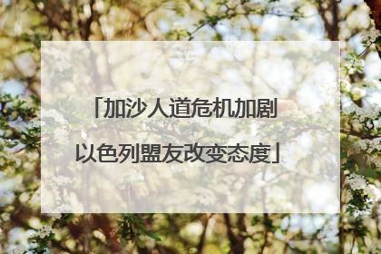 加沙人道危机加剧 以色列盟友改变态度