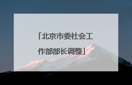 北京市委社会工作部部长调整