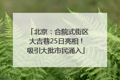 北京：合院式街区大吉巷25日亮相！吸引大批市民涌入