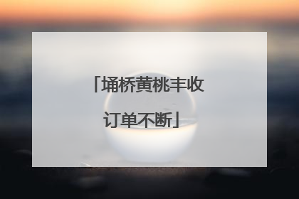 埇桥黄桃丰收 订单不断