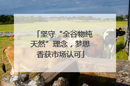 坚守“全谷物纯天然”理念，梦思香获市场认可