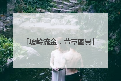坡岭流金：萱草图景