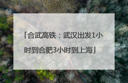 合武高铁：武汉出发1小时到合肥3小时到上海