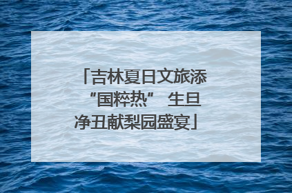 吉林夏日文旅添“国粹热” 生旦净丑献梨园盛宴