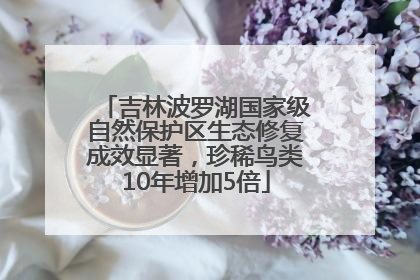 吉林波罗湖国家级自然保护区生态修复成效显著，珍稀鸟类10年增加5倍