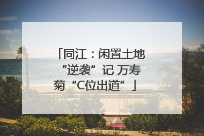 同江：闲置土地“逆袭”记 万寿菊“C位出道”