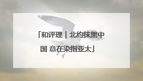 和评理｜北约抹黑中国 意在染指亚太
