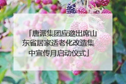 唐派集团应邀出席山东省居家适老化改造集中宣传月启动仪式