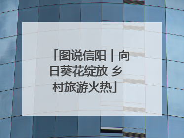 图说信阳｜向日葵花绽放 乡村旅游火热