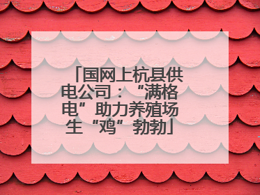 国网上杭县供电公司：“满格电”助力养殖场生“鸡”勃勃