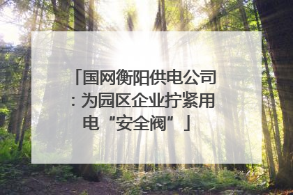 国网衡阳供电公司：为园区企业拧紧用电“安全阀”