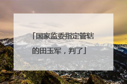国家监委指定管辖的田玉军，判了