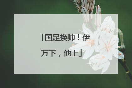 国足换帅！伊万下，他上
