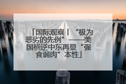 国际观察丨“极为恶劣的先例”——美国横逆中东再显“强食弱肉”本性