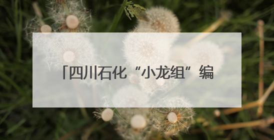 四川石化“小龙组”编组发运告捷 川内铁路航煤保供再添新动能
