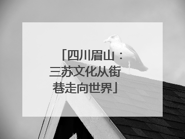 四川眉山：三苏文化从街巷走向世界